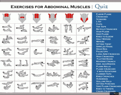 Exercises for abdominal Muscles | Quiz 