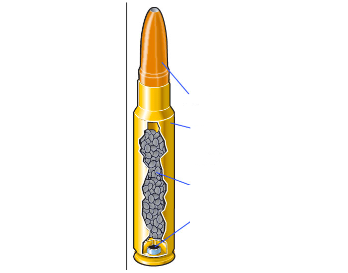 Bullet Name Label Rifle bullet label Quiz