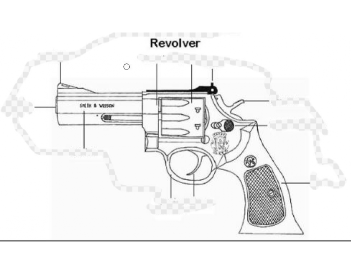 Revolver Labeler Quiz