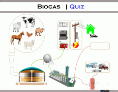 Biogas | Quiz