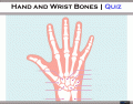 Hand and Wrist Bones | Quiz