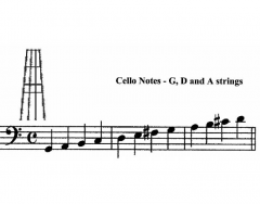 Cello Notes on Fingerboard