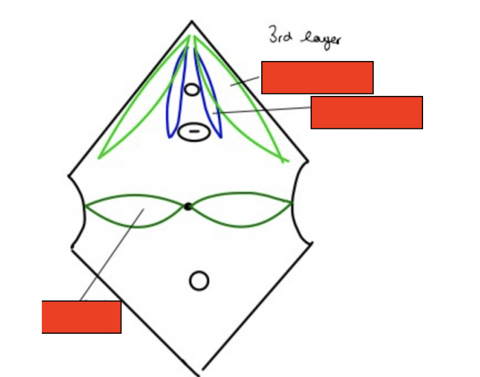 most superficial layer Quiz