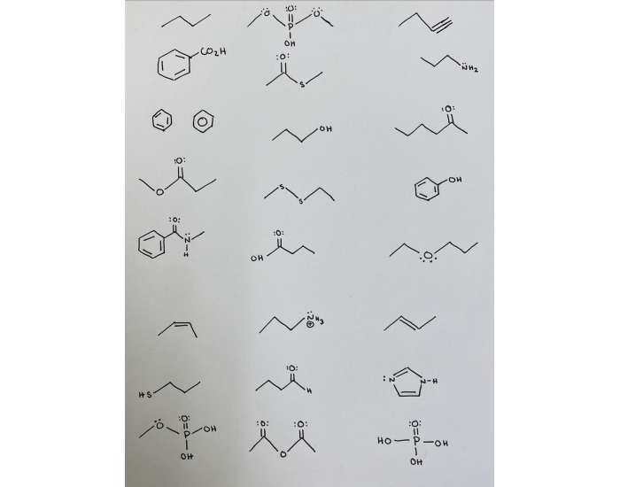 Biochemistry structures Quiz