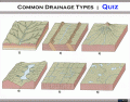 Common Drainage Types