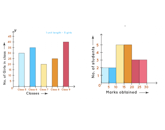 BAR GRAPH VS HISTOGRAM Quiz