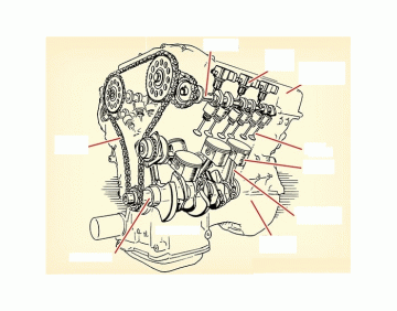 Small Engine Parts ID Quiz