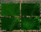 25 years of deforestation in the Amazon