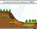 Factors affecting soil Formation | Quiz