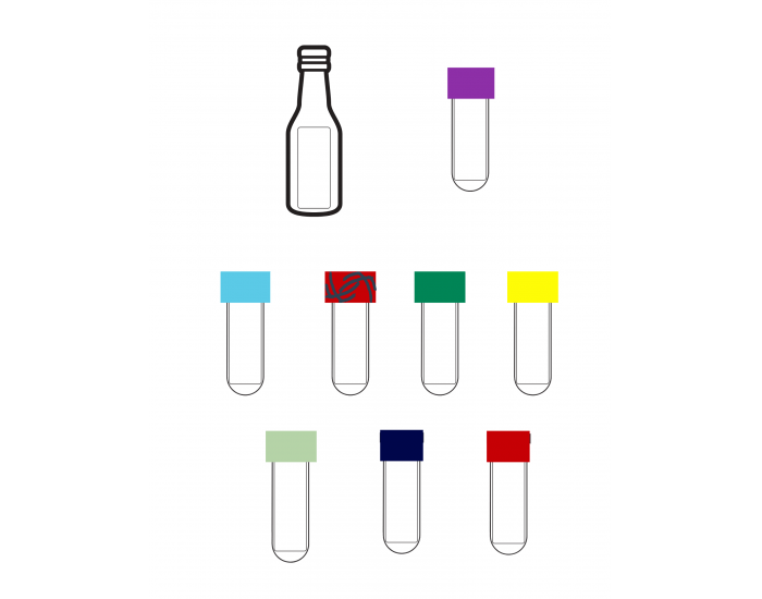 Phlebotomy Presentation Printable Worksheet