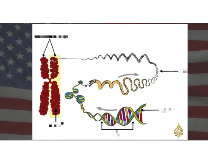 DNA Game- Biology