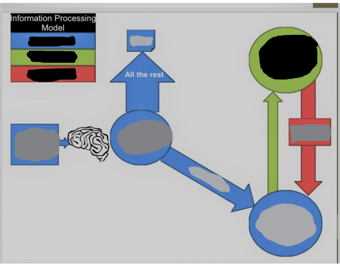 Information Processing — Printable Worksheet