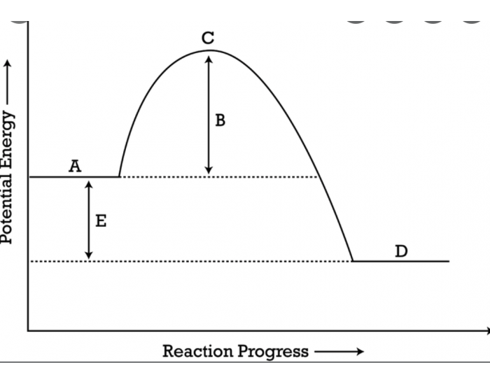 Label this graph! Round 2 — Printable Worksheet