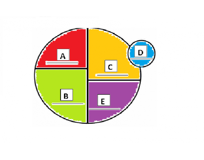 My Plate Quiz My plate quiz