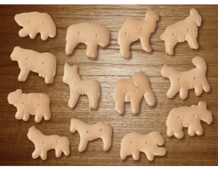 Animal Cracker Shapes — Printable Worksheet