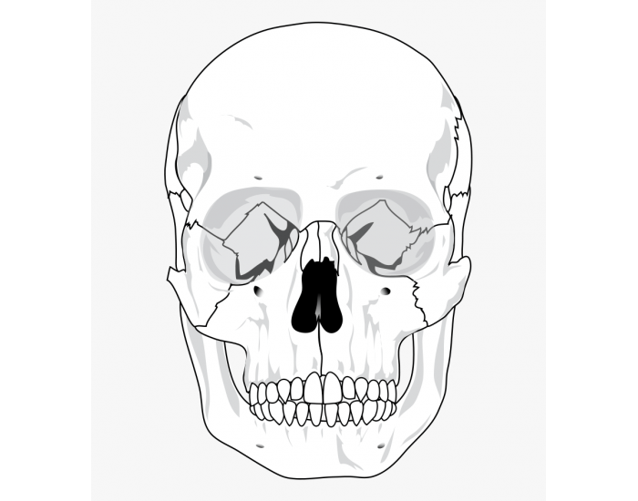Skull Quiz