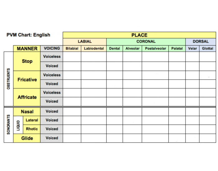 PVM Chart: English Quiz