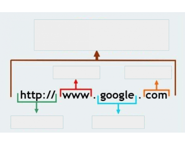 parts-of-a-web-address-quiz