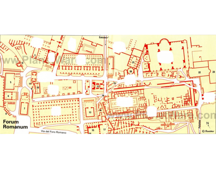 Topical Study - Ancient Roman Forum Quiz