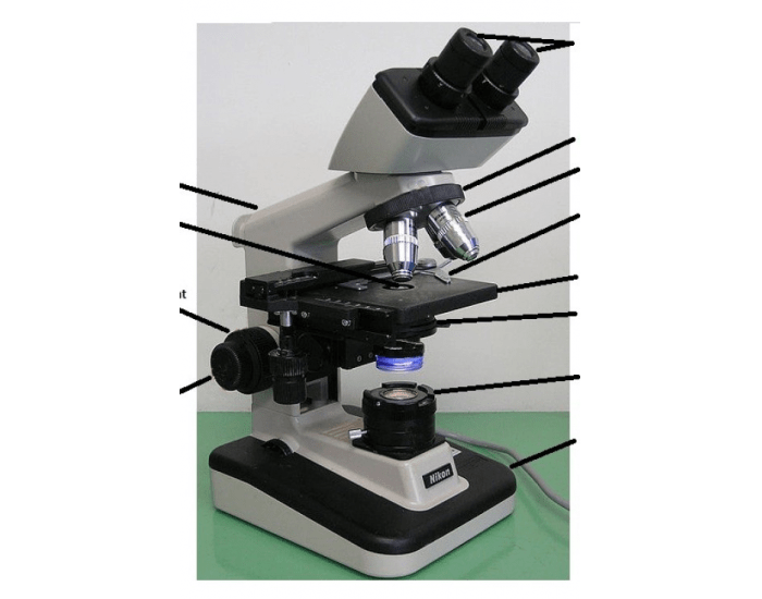 Microscope Parts Quiz