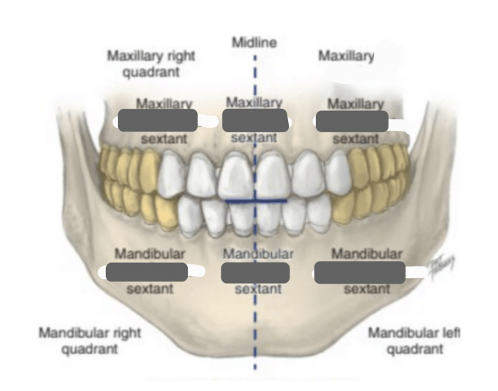 Tooth Secant Tooth Sextants — Printable Worksheet