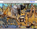 Animals endemic to Africa or Asia or ..? | Quiz
