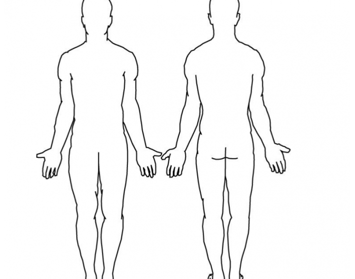 Anatomy Major Body Regions Quiz Anatomy major body regions quiz