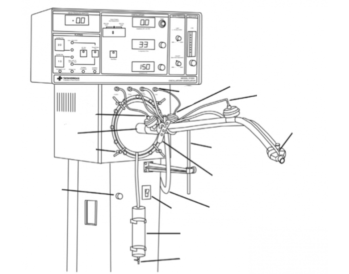 3100A System Column and Patient Circuit Quiz