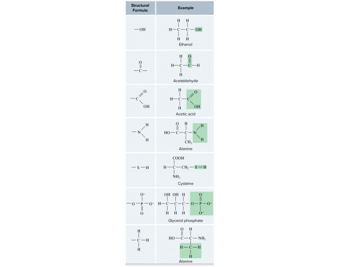 Function Bg Functional groups image quiz for bio 111 chapter 3