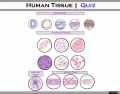 Human Tissue | Quiz