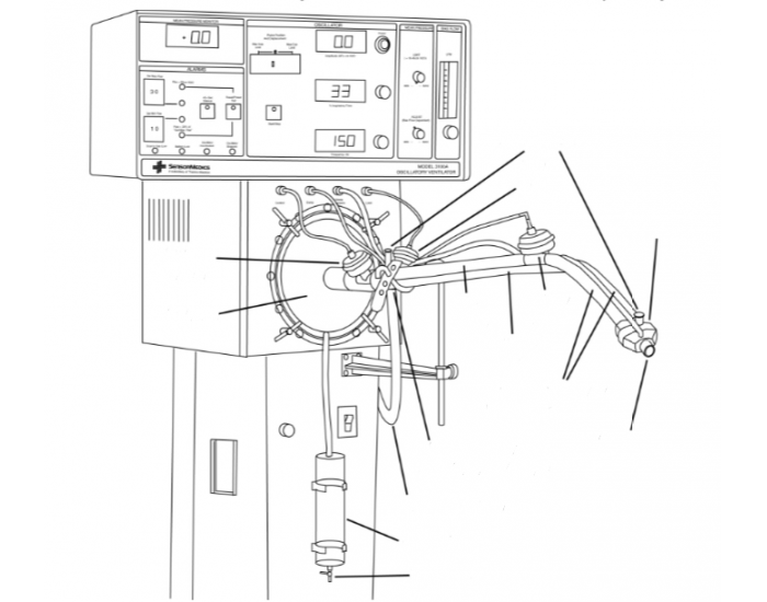 3100A Patient Circuit — Printable Worksheet