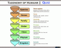 Taxonomy of Humans | Quiz
