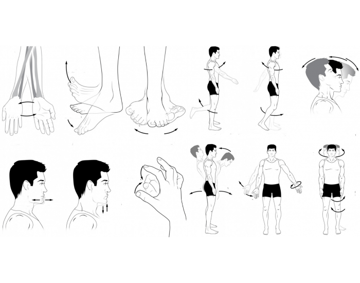 Anatomical movements Quiz