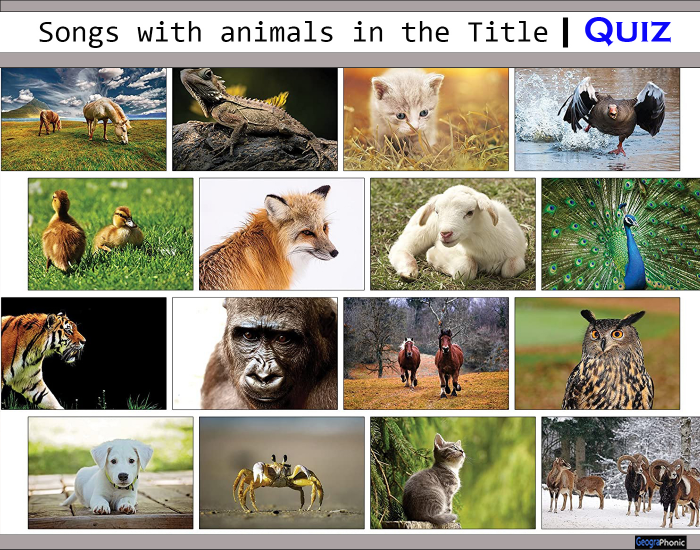 Songs with Animals in the Title #1 Quiz
