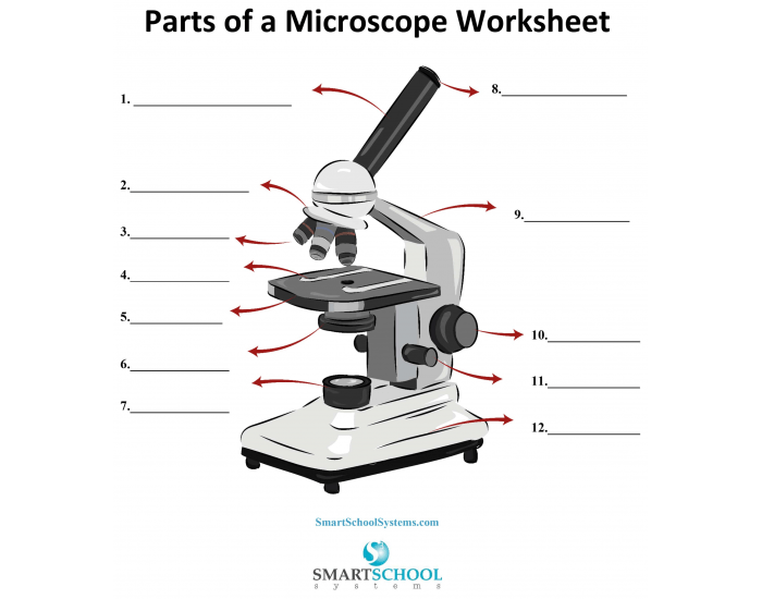 Microscope Parts Quiz Microscope Parts Quiz