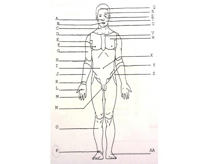 Anatomy Body Regions Front Quiz anatomy-body-regions-front-quiz