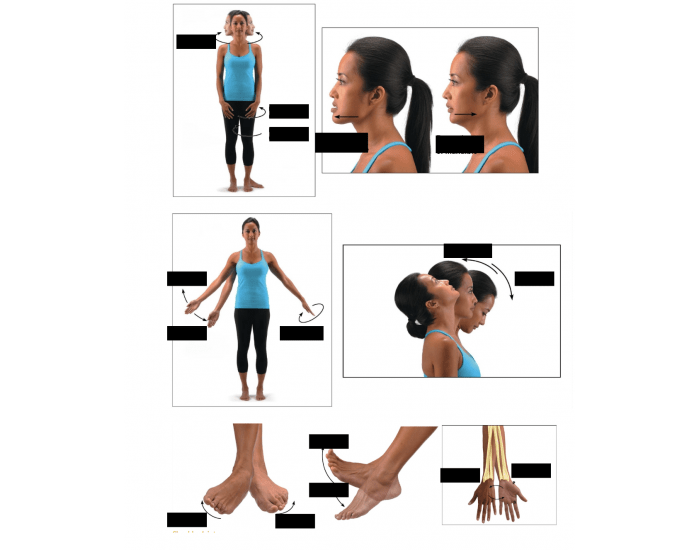 Movement Labeling movement labeling Quiz