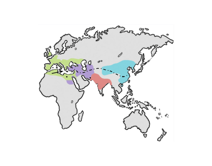 Classical Civilizations Map Check Part 1 Quiz