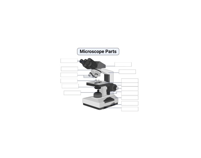 Microscope Parts Quiz