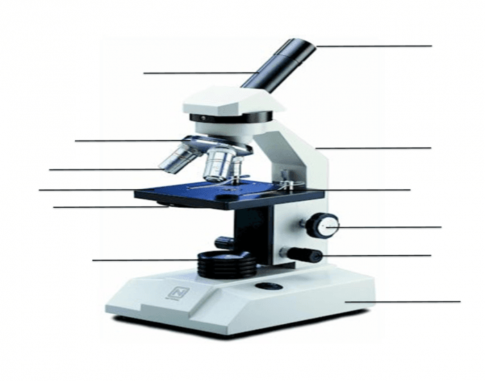 Science Microscopes Quiz