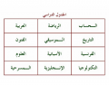 School Subjects in Arabic