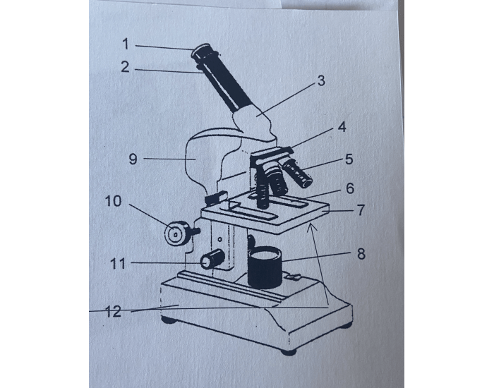 labeling microscope Quiz