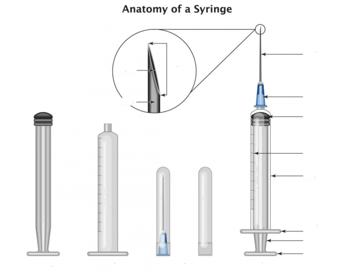 Syringe Anatomy Printable Worksheet