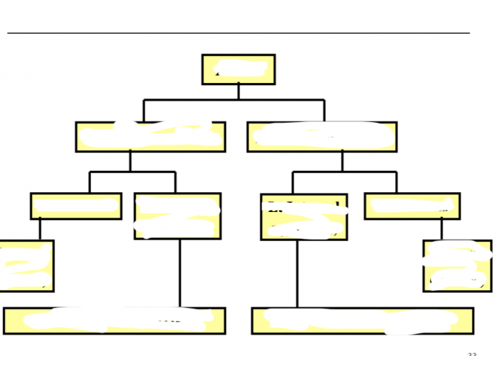 blood-flow-to-uterus-quiz