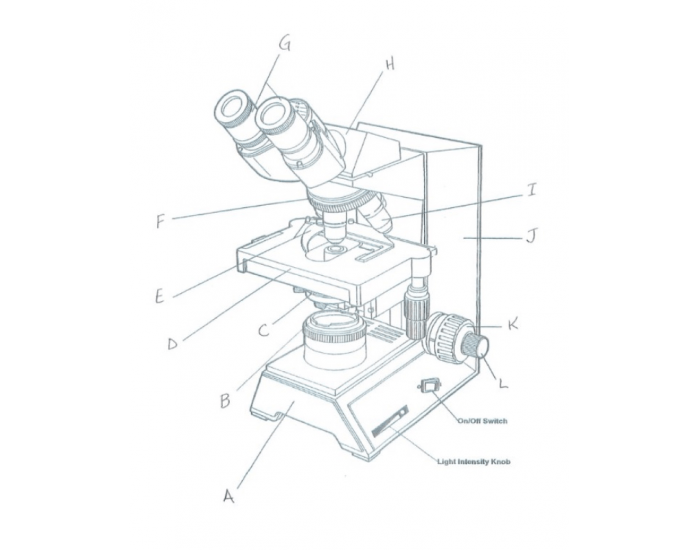 Microscope Label Quiz