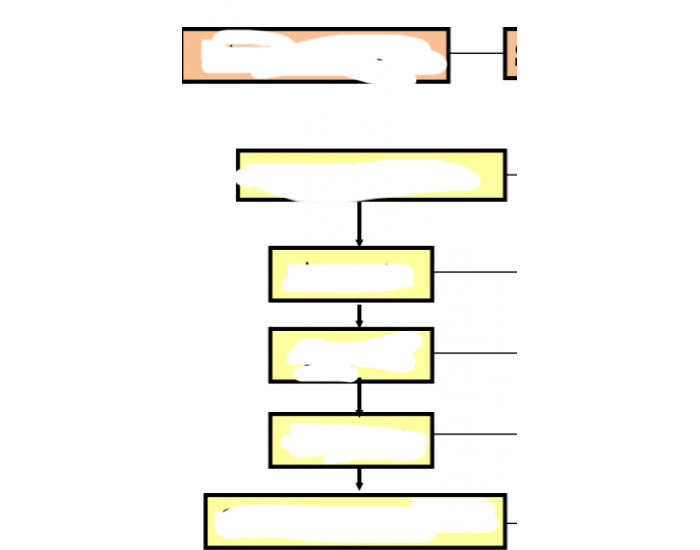 blood-flow-to-uterus-quiz