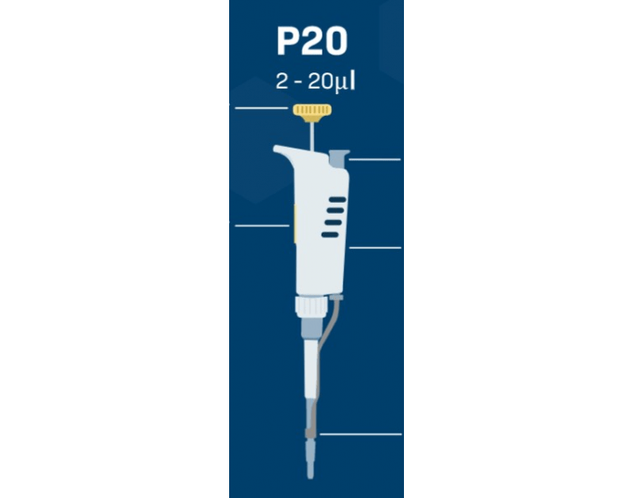 Micropipette anatomy Quiz