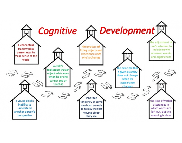 Psychology: Cognitive Development Vocab Practice Quiz