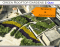 Green Rooftop Gardens | Quiz