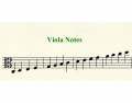 Viola Note Names